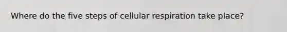 Where do the five steps of cellular respiration take place?