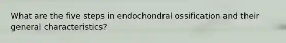 What are the five steps in endochondral ossification and their general characteristics?