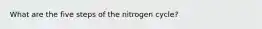 What are the five steps of the nitrogen cycle?