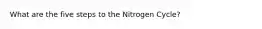 What are the five steps to the Nitrogen Cycle?