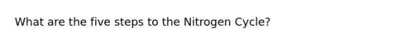 What are the five steps to the Nitrogen Cycle?