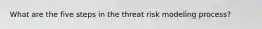 What are the five steps in the threat risk modeling process?