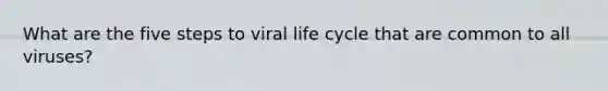 What are the five steps to viral life cycle that are common to all viruses?