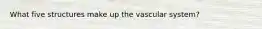 What five structures make up the vascular system?