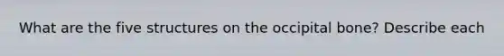 What are the five structures on the occipital bone? Describe each