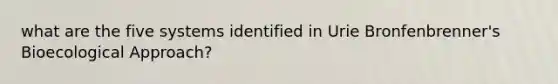what are the five systems identified in Urie Bronfenbrenner's Bioecological Approach?