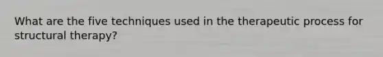 What are the five techniques used in the therapeutic process for structural therapy?