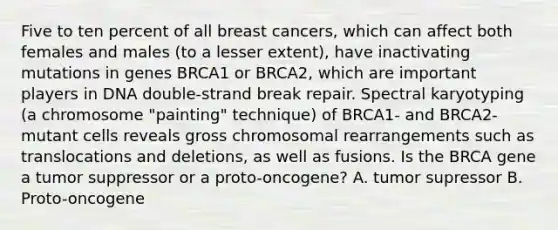 Five to ten percent of all breast cancers, which can affect both females and males (to a lesser extent), have inactivating mutations in genes BRCA1 or BRCA2, which are important players in DNA double-strand break repair. Spectral karyotyping (a chromosome "painting" technique) of BRCA1- and BRCA2-mutant cells reveals gross chromosomal rearrangements such as translocations and deletions, as well as fusions. Is the BRCA gene a tumor suppressor or a proto-oncogene? A. tumor supressor B. Proto-oncogene