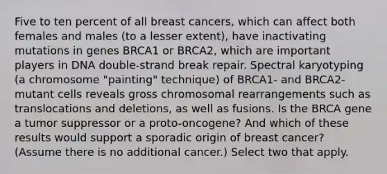 Five to ten percent of all breast cancers, which can affect both females and males (to a lesser extent), have inactivating mutations in genes BRCA1 or BRCA2, which are important players in DNA double-strand break repair. Spectral karyotyping (a chromosome "painting" technique) of BRCA1- and BRCA2-mutant cells reveals gross chromosomal rearrangements such as translocations and deletions, as well as fusions. Is the BRCA gene a tumor suppressor or a proto-oncogene? And which of these results would support a sporadic origin of breast cancer? (Assume there is no additional cancer.) Select two that apply.