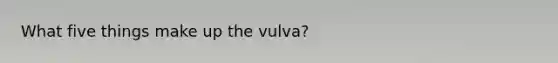 What five things make up the vulva?