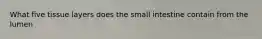 What five tissue layers does the small intestine contain from the lumen