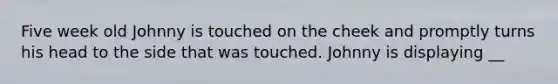 Five week old Johnny is touched on the cheek and promptly turns his head to the side that was touched. Johnny is displaying __