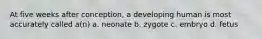 At five weeks after conception, a developing human is most accurately called a(n) a. neonate b. zygote c. embryo d. fetus