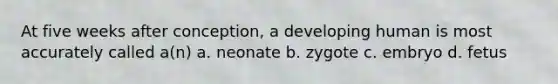 At five weeks after conception, a developing human is most accurately called a(n) a. neonate b. zygote c. embryo d. fetus