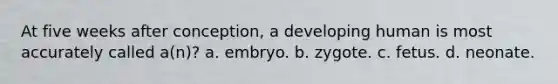 At five weeks after conception, a developing human is most accurately called a(n)? a. embryo. b. zygote. c. fetus. d. neonate.