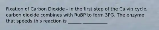 Fixation of Carbon Dioxide - In the first step of the Calvin cycle, carbon dioxide combines with RuBP to form 3PG. The enzyme that speeds this reaction is ______ ___________