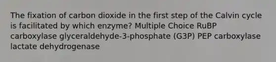 The fixation of carbon dioxide in the first step of the Calvin cycle is facilitated by which enzyme? Multiple Choice RuBP carboxylase glyceraldehyde-3-phosphate (G3P) PEP carboxylase lactate dehydrogenase