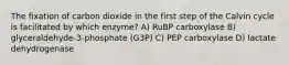 The fixation of carbon dioxide in the first step of the Calvin cycle is facilitated by which enzyme? A) RuBP carboxylase B) glyceraldehyde-3-phosphate (G3P) C) PEP carboxylase D) lactate dehydrogenase