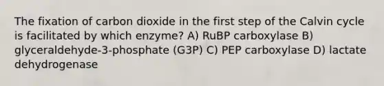 The fixation of carbon dioxide in the first step of the Calvin cycle is facilitated by which enzyme? A) RuBP carboxylase B) glyceraldehyde-3-phosphate (G3P) C) PEP carboxylase D) lactate dehydrogenase