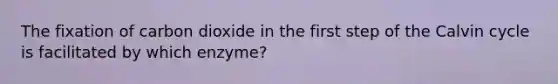 The fixation of carbon dioxide in the first step of the Calvin cycle is facilitated by which enzyme?