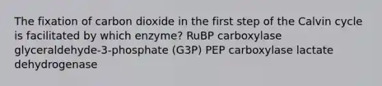 The fixation of carbon dioxide in the first step of the Calvin cycle is facilitated by which enzyme? RuBP carboxylase glyceraldehyde-3-phosphate (G3P) PEP carboxylase lactate dehydrogenase