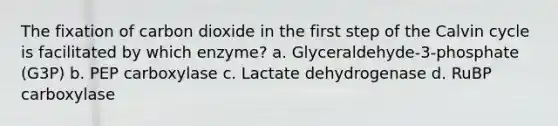 The fixation of carbon dioxide in the first step of the Calvin cycle is facilitated by which enzyme? a. Glyceraldehyde-3-phosphate (G3P) b. PEP carboxylase c. Lactate dehydrogenase d. RuBP carboxylase