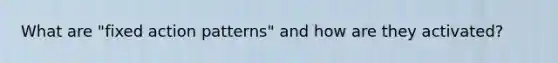 What are "fixed action patterns" and how are they activated?