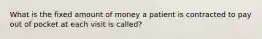 What is the fixed amount of money a patient is contracted to pay out of pocket at each visit is called?