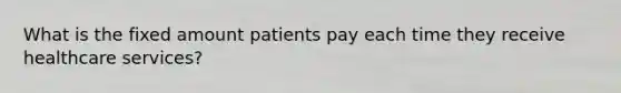 What is the fixed amount patients pay each time they receive healthcare services?