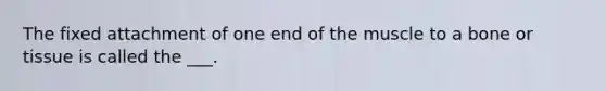 The fixed attachment of one end of the muscle to a bone or tissue is called the ___.