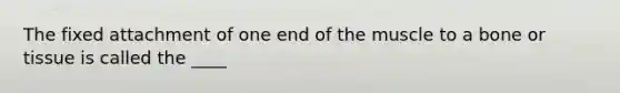 The fixed attachment of one end of the muscle to a bone or tissue is called the ____