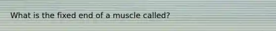 What is the fixed end of a muscle called?