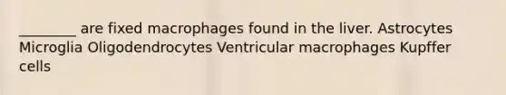 ________ are fixed macrophages found in the liver. Astrocytes Microglia Oligodendrocytes Ventricular macrophages Kupffer cells