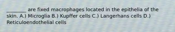 ________ are fixed macrophages located in the epithelia of the skin. A.) Microglia B.) Kupffer cells C.) Langerhans cells D.) Reticuloendothelial cells