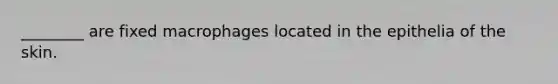 ________ are fixed macrophages located in the epithelia of the skin.