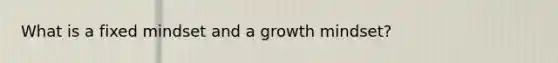 What is a fixed mindset and a growth mindset?