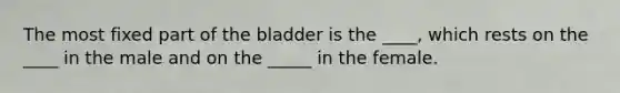 The most fixed part of the bladder is the ____, which rests on the ____ in the male and on the _____ in the female.