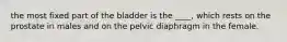 the most fixed part of the bladder is the ____, which rests on the prostate in males and on the pelvic diaphragm in the female.