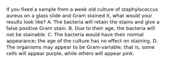 If you fixed a sample from a week old culture of staphylococcus aureus on a glass slide and Gram stained it, what would your results look like? A. The bacteria will retain the stains and give a false positive Gram stain. B. Due to their age, the bacteria will not be stainable. C. The bacteria would have their normal appearance; the age of the culture has no effect on staining. D. The organisms may appear to be Gram-variable; that is, some cells will appear purple, while others will appear pink.