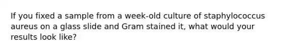 If you fixed a sample from a week-old culture of staphylococcus aureus on a glass slide and Gram stained it, what would your results look like?
