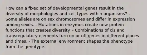 How can a fixed set of developmental genes result in the diversity of morphologies and cell types within organisms? - Some alleles are on sex chromosomes and differ in expression among sexes. - Mutations in enzymes create new protein functions that creates diversity. - Combinations of cis and transregulatory elements turn on or off genes in different places and times. - The external environment shapes the phenotype from the genotype.