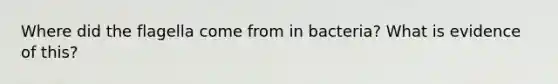 Where did the flagella come from in bacteria? What is evidence of this?