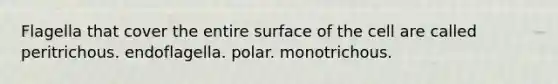 Flagella that cover the entire surface of the cell are called peritrichous. endoflagella. polar. monotrichous.