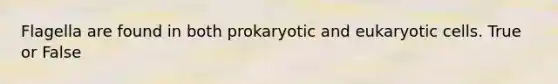 Flagella are found in both prokaryotic and <a href='https://www.questionai.com/knowledge/kb526cpm6R-eukaryotic-cells' class='anchor-knowledge'>eukaryotic cells</a>. True or False