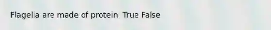 Flagella are made of protein. True False