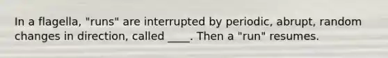 In a flagella, "runs" are interrupted by periodic, abrupt, random changes in direction, called ____. Then a "run" resumes.