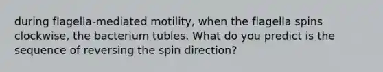 during flagella-mediated motility, when the flagella spins clockwise, the bacterium tubles. What do you predict is the sequence of reversing the spin direction?