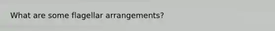 What are some flagellar arrangements?