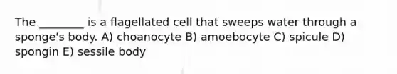 The ________ is a flagellated cell that sweeps water through a sponge's body. A) choanocyte B) amoebocyte C) spicule D) spongin E) sessile body