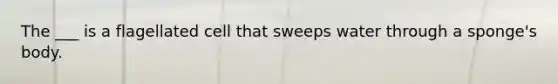 The ___ is a flagellated cell that sweeps water through a sponge's body.